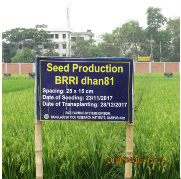 Visit to Bangladesh Rice Research Institute