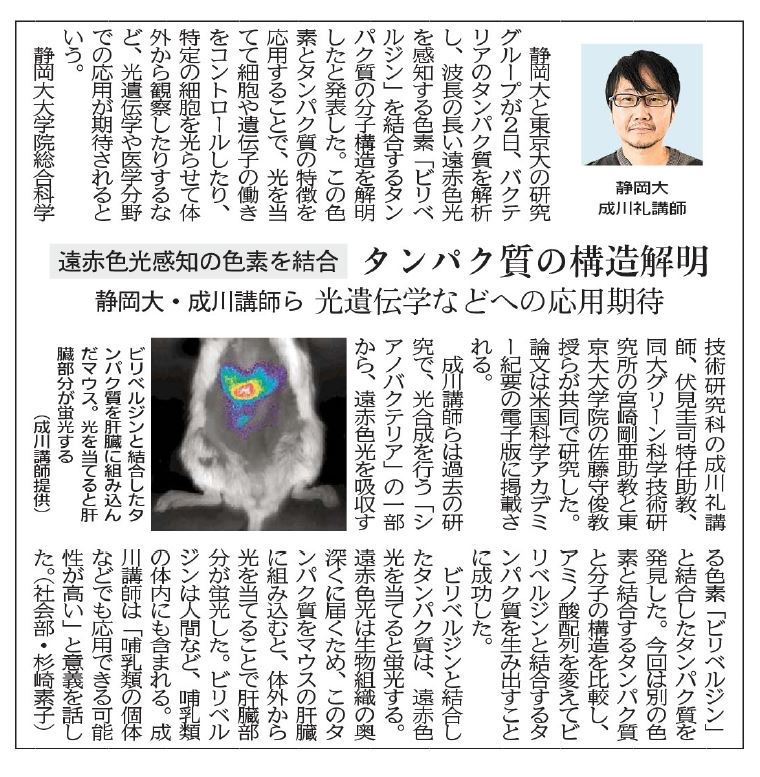 成川講師の研究グループによる研究成果の記事が静岡新聞に掲載されました