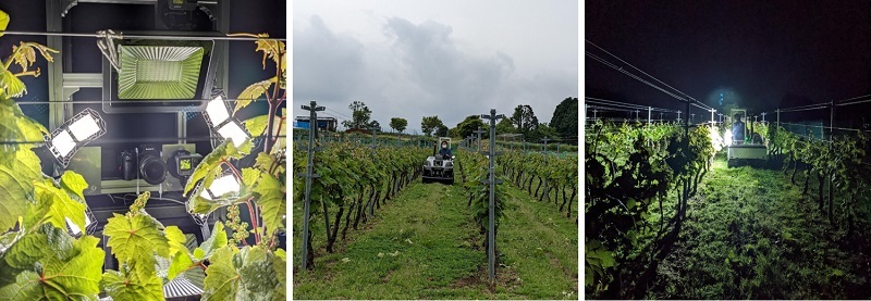 【プレスリリース】実圃場におけるワインブドウの小さな花を高精度にカウンティングする AIの研究開発に成功