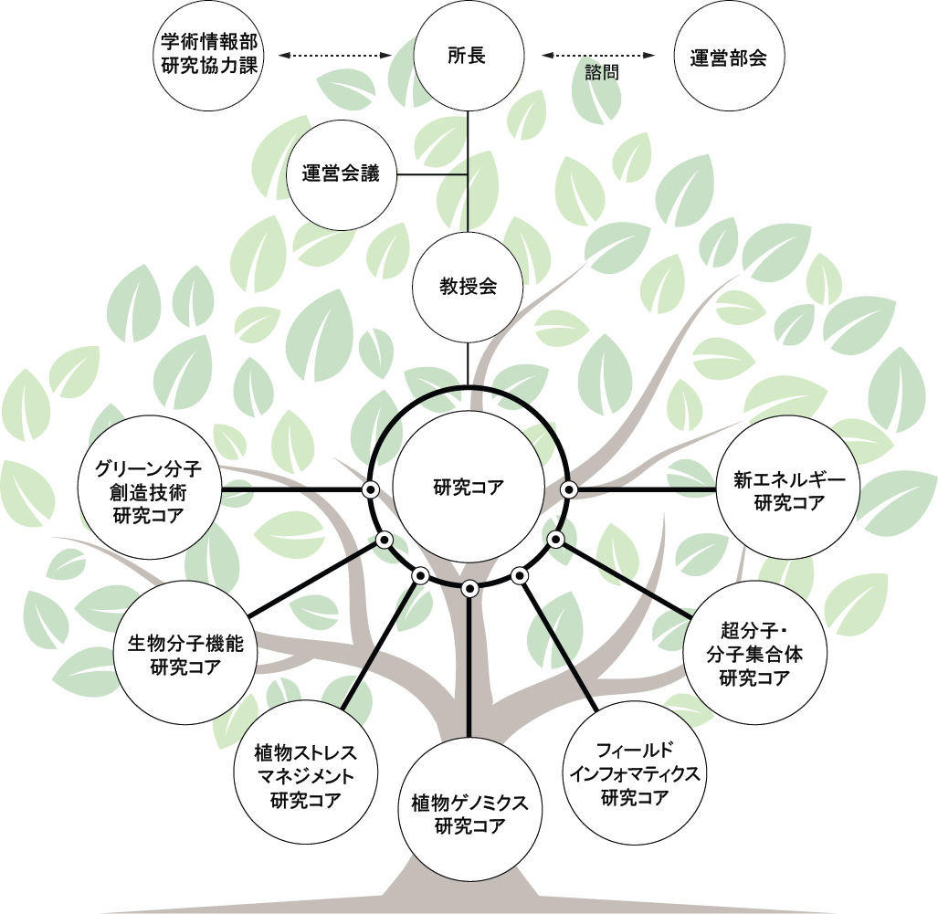 静岡大学グリーン科学技術研究所組織図