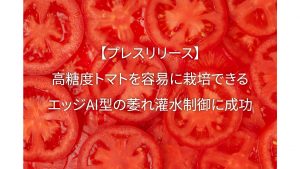【プレスリリース】高糖度トマトを容易に栽培できるエッジAI型の萎れ灌水制御に成功