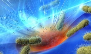 【プレスリリース】深海インスパイアード化学に基づく分解の見える化技術 -セルロースからキチンへ、界面センシング原理を拡張-