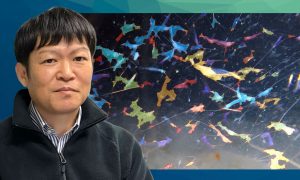 【海洋DX】永田 正樹 准教授の取り組みが 7/9(木):NHKニュース「たっぷり静岡」で紹介されます -サクラエビ漁を支えるAI研究-