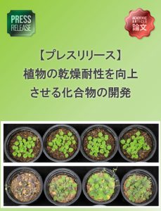 植物の乾燥耐性を向上させる化合物の開発