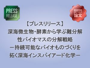 深海微生物・酵素から学ぶ難分解性バイオマスの分解戦略 -持続可能なバイオものづくりを拓く深海インスパイアード化学-