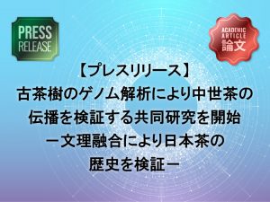 古茶樹のゲノム解析により中世茶の伝播を検証する共同研究を開始 －文理融合により日本茶の歴史を検証－
